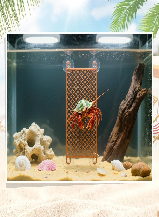 لعبة تسلق على شكل سلم لسرطان البحر الناسك من ساني موف، إكسسوارات لسرطان البحر الناسك، زينة لحوض الببغاء والسحلية والحرباء والزواحف - Image 4